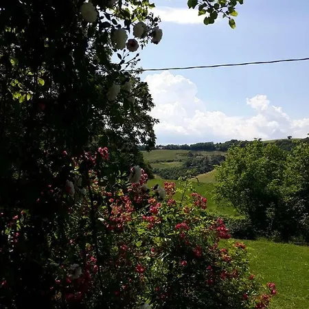B&B I Canonici Urbino Extérieur photo