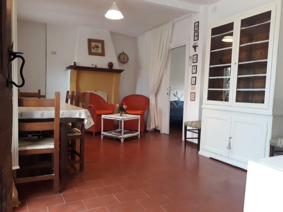 I Canonici Urbino
