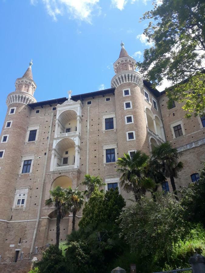 I Canonici Urbino